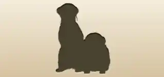 Meerkats