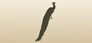 Peacock silhouette