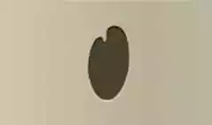 パレットのシルエット