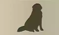 イヌのシルエット