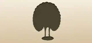 Peacock silhouette