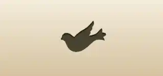Pigeon silhouette