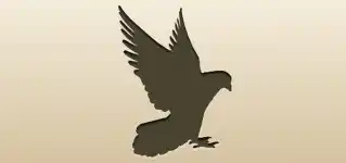 Pigeon silhouette