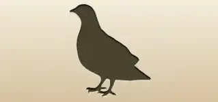 Pigeon silhouette