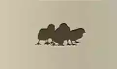 ひよこのシルエット