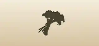 Dandelion silhouette