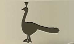 Peacock silhouette