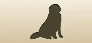 Dog silhouette