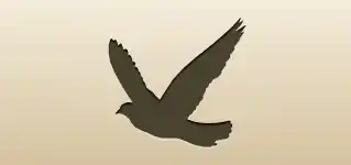 Pigeon silhouette