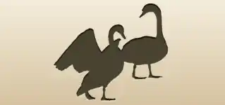 Pair of Swans silhouette