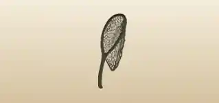 Net silhouette