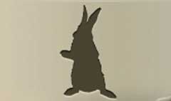 Rabbit silhouette