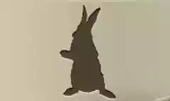 うさぎのシルエット