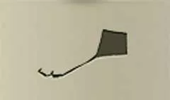 凧のシルエット