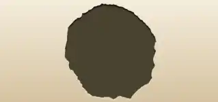 刺しゅう枠のシルエット