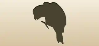 オウムのシルエット
