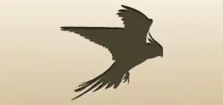 オウムのシルエット