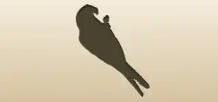 オウムのシルエット