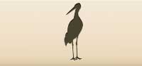 Stork silhouette