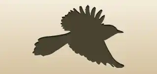 Blue Jay silhouette