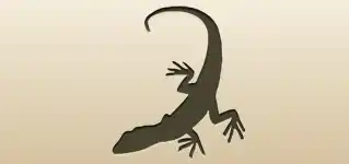 Lizard silhouette