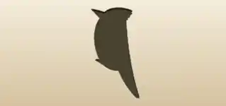 Blue Jay silhouette