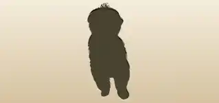 Dog silhouette