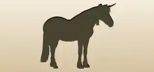 Unicorn silhouette