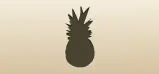 Pineapple silhouette