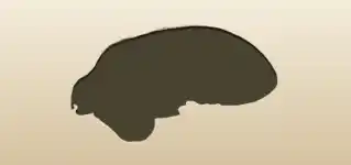 Dog silhouette
