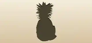 Pineapple silhouette