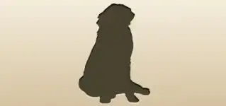 Dog silhouette