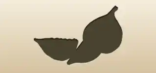 Figs silhouette