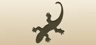 Lizard silhouette