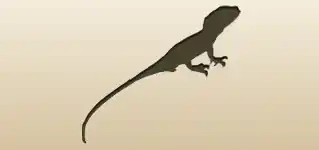 Lizard silhouette