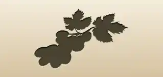 Grapes silhouette