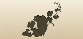 Grapes silhouette