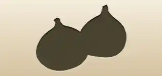 Figs silhouette
