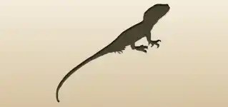 Lizard silhouette
