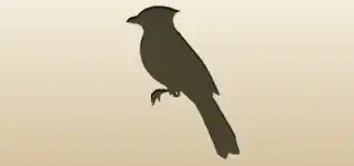 Blue Jay silhouette