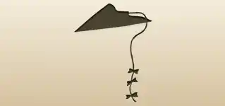 Kite silhouette