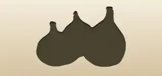 Figs silhouette