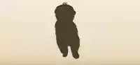 イヌのシルエット