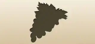 Grapes silhouette