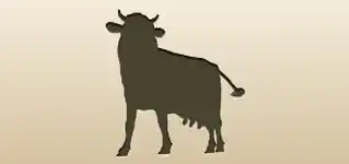 Cow silhouette
