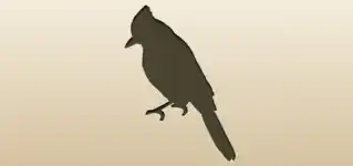 Blue Jay silhouette