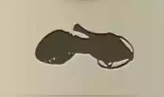 Lady's Shoe