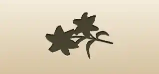 Tiger Lily
