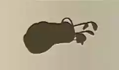 Golf Clubs