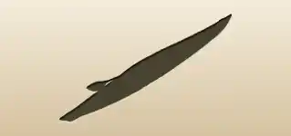Whitewater Kayak